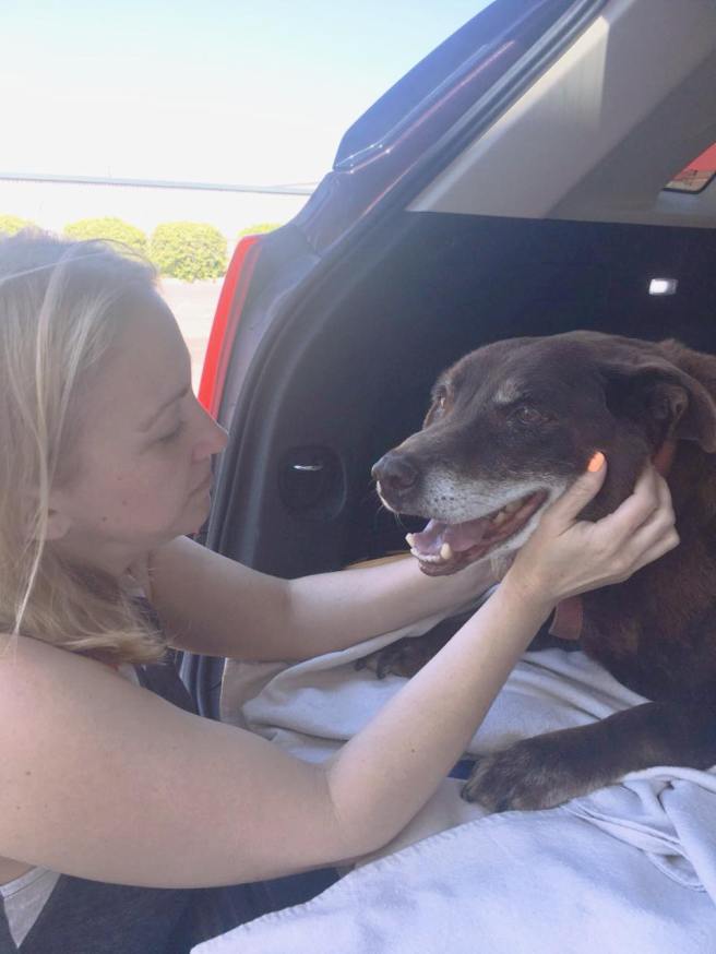 36718441_10217066625282896_9151602295819993088_o